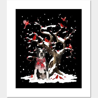 Black Boston Terrier Scarf Cardinal Snow Christmas Posters and Art